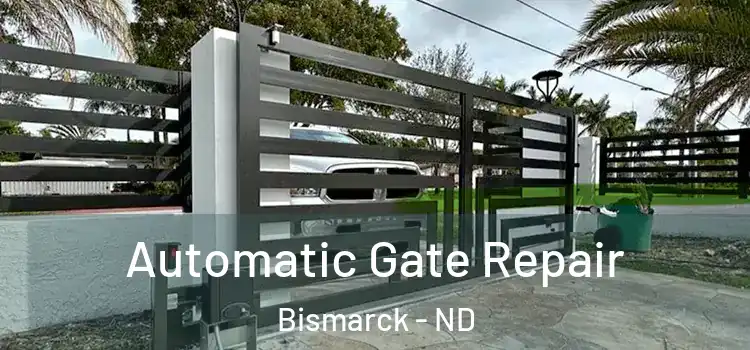 Automatic Gate Repair Bismarck - ND