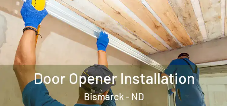 Door Opener Installation Bismarck - ND
