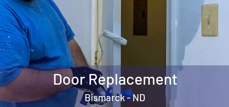 Door Replacement Bismarck - ND
