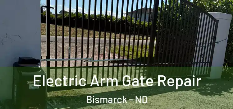 Electric Arm Gate Repair Bismarck - ND