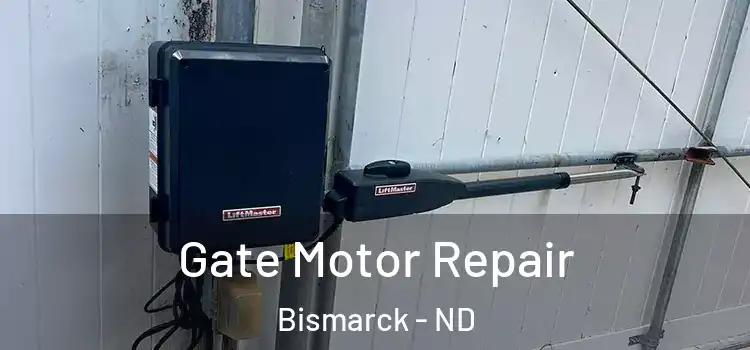 Gate Motor Repair Bismarck - ND