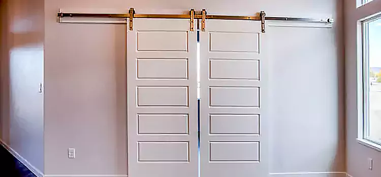 Glass Barn Door with Installation Hardware Kit Bismarck