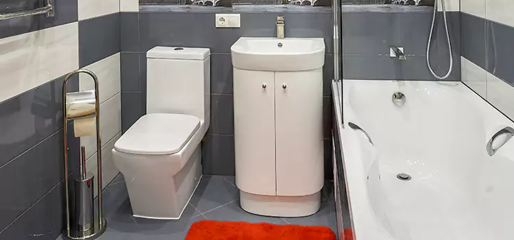 Hansgrohe Shaving Mirror Bismarck