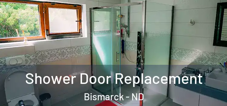 Shower Door Replacement Bismarck - ND